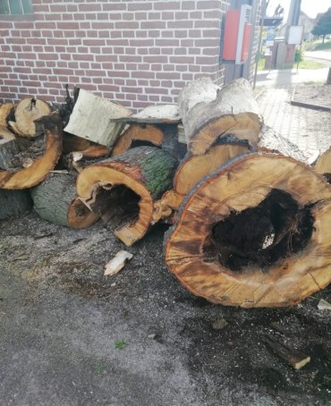 Dne 16. 5. 2025 proběhlo nucené kácení lípy v Nedaříži u staré hasičárny. Dendrolog vyhodnotil stav stromu za havarijní.