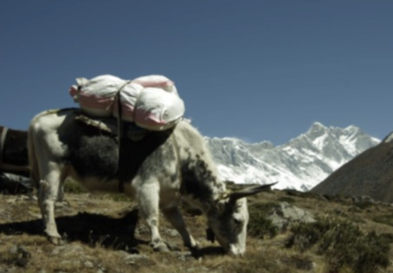 Přes tři sedla k Mt. Everestu