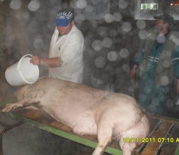 Sokolská zabíjačka 2011